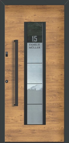 Detail Griff – motiv Jubiläumshaustür