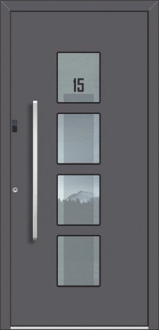 motiv Jubiläumshaustür Modell 14