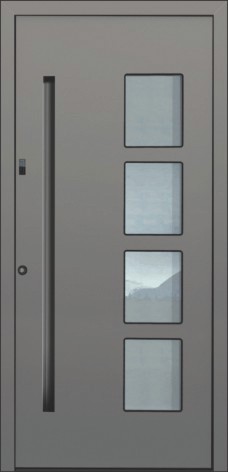 motiv Jubiläumshaustür Modell 15