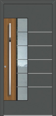 motiv Jubiläumshaustür Modell 17