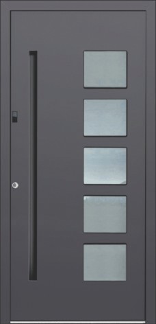 motiv Jubiläumshaustür Modell 04